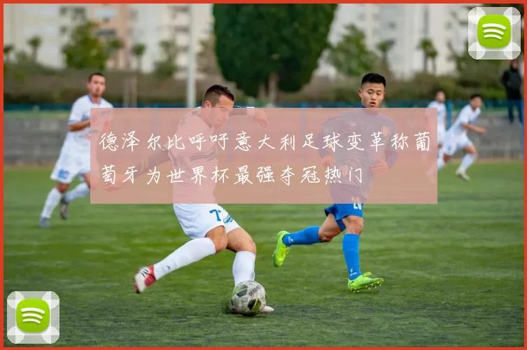 德泽尔比呼吁意大利足球变革称葡萄牙为世界杯最强夺冠热门